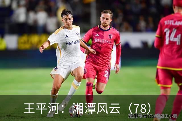 王平河：湘潭风云（7/8）