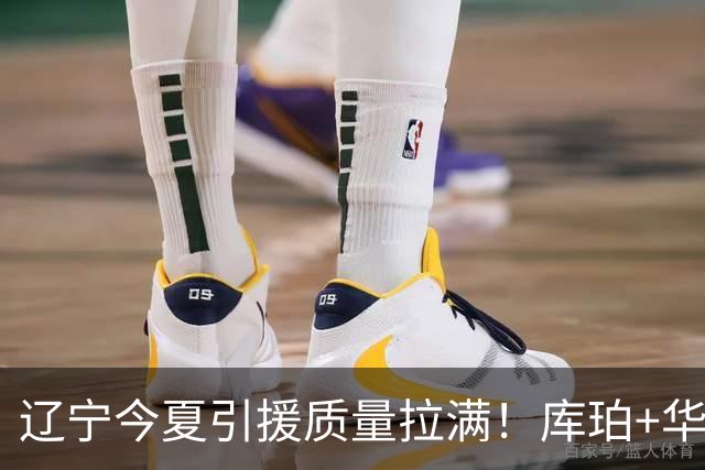 辽宁今夏引援质量拉满！库珀+华子场均42分，克里斯也能稳内线！